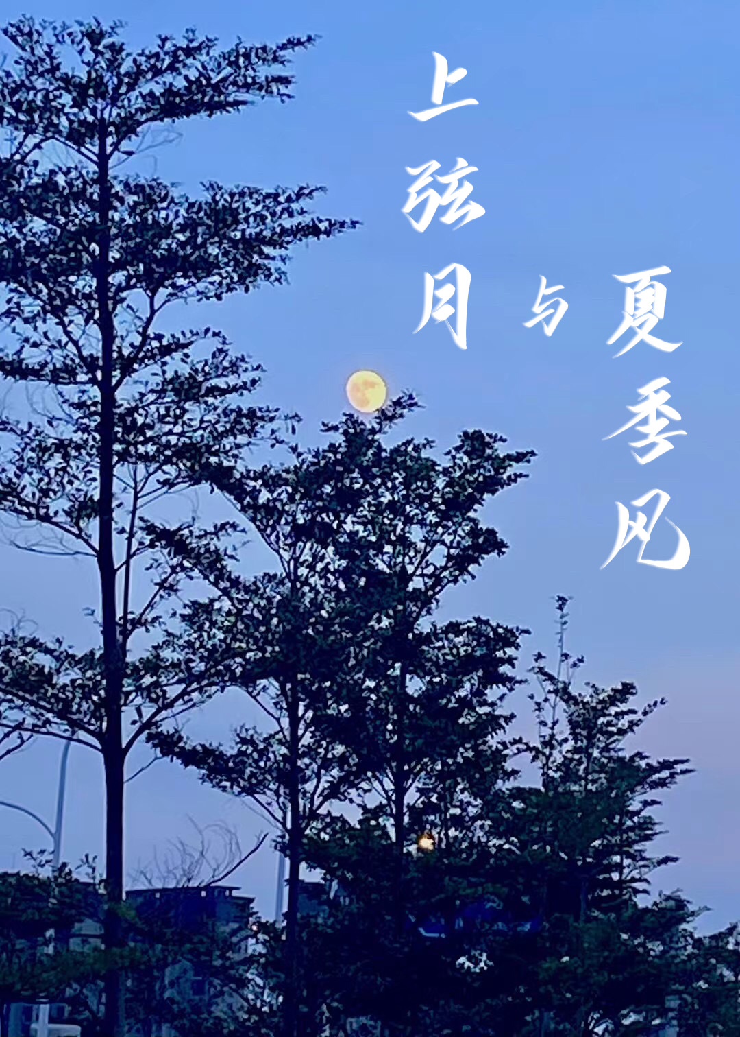 上弦月与夏季风