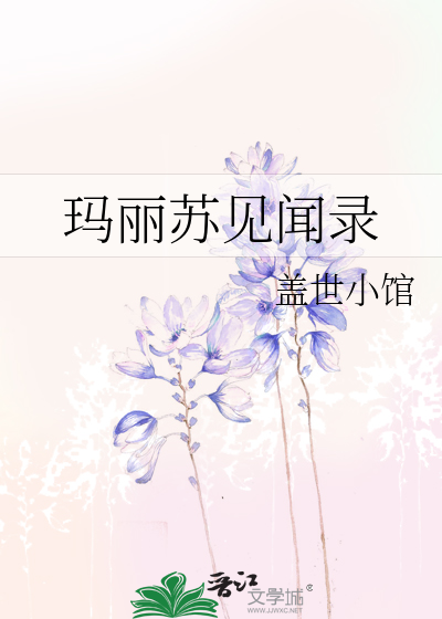 玛丽苏见闻录