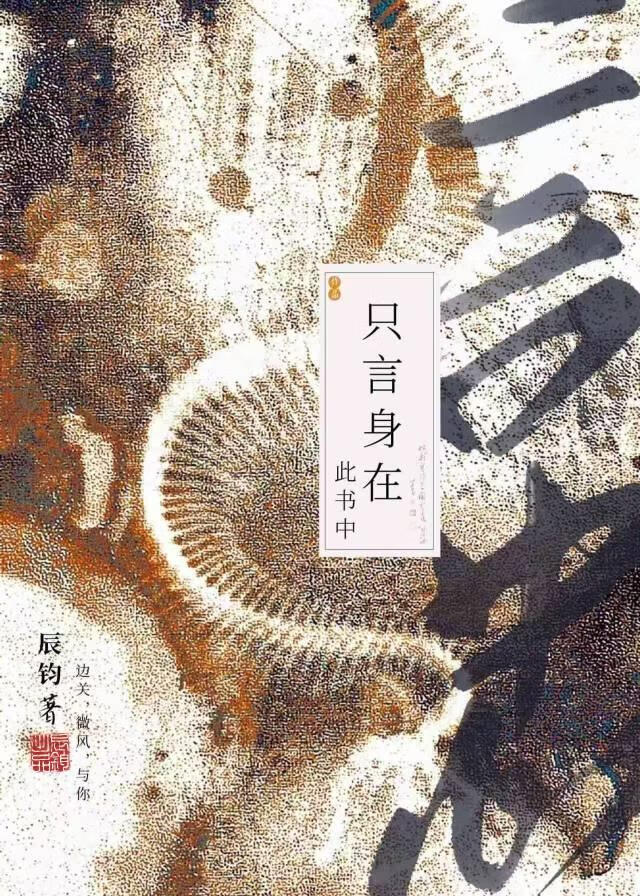 只言身在此书中