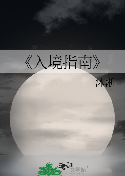 《入境指南