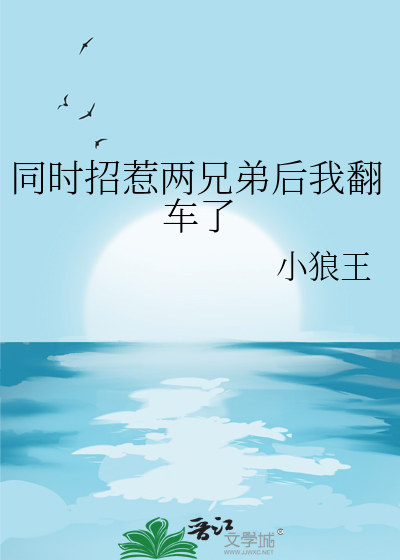 同时招惹两兄弟后我翻车了