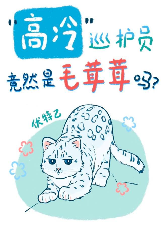 黏人精雪豹装什么高冷巡护员？