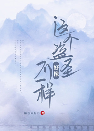 这个盗圣好像不一样