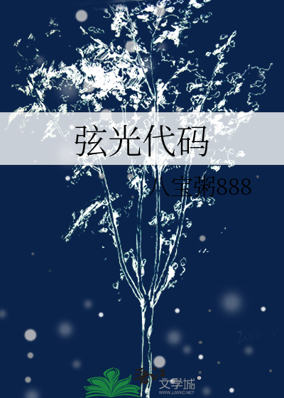 弦光代码