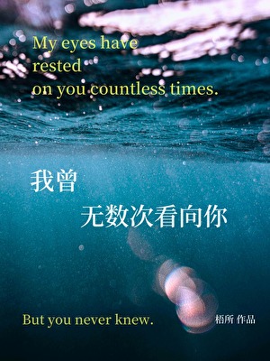 我曾无数次看向你