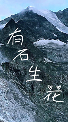 有石生花