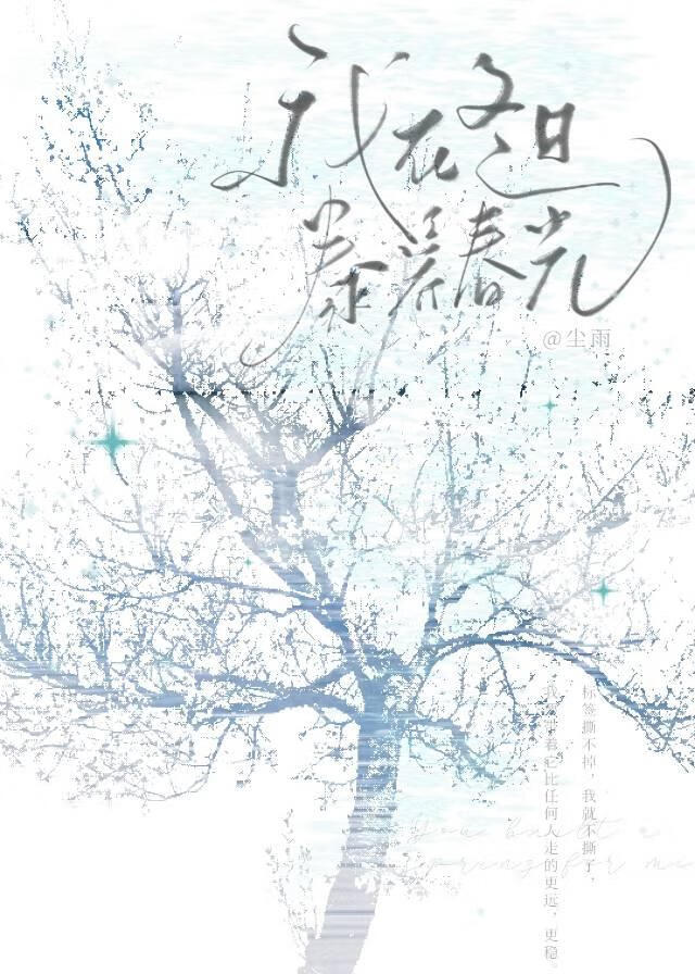 我在冬日豢养春光