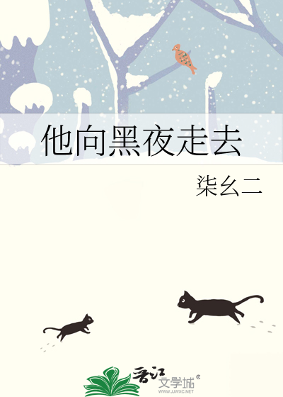 他向黑夜走去
