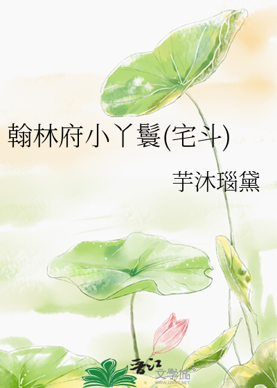 翰林府小丫鬟(宅斗)
