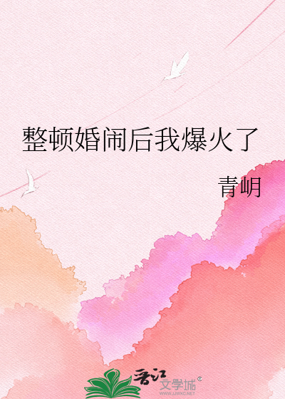 整顿婚闹后我爆火了