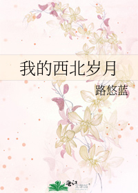 我的西北岁月