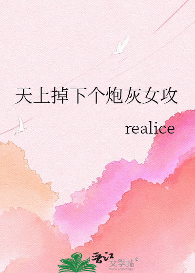 天上掉下个炮灰女攻