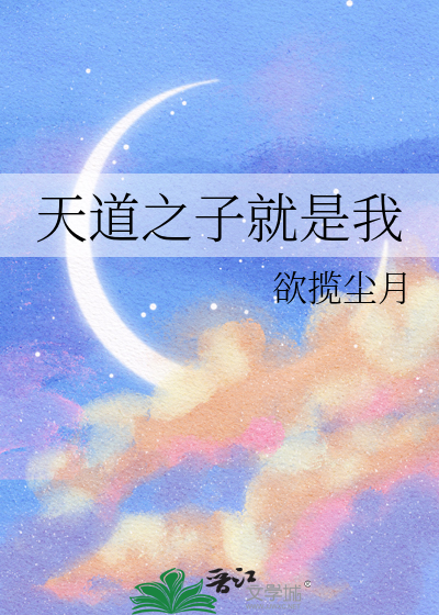 天道之子就是我