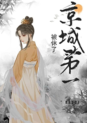 京城第一贵女被休了