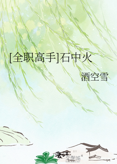 [全职高手]石中火