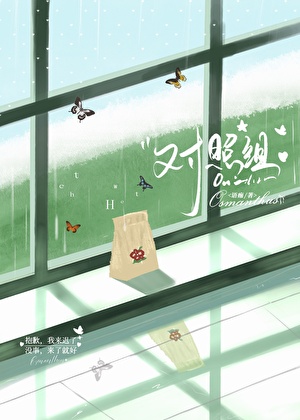 对照组［男暗恋］
