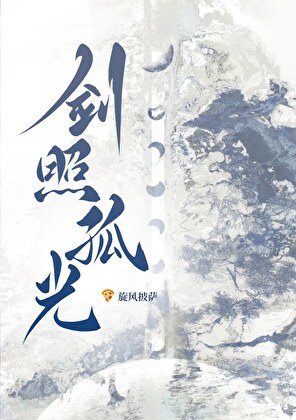 剑照孤光