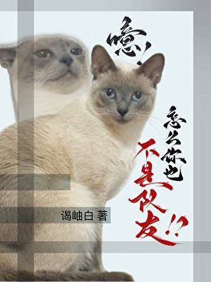 噫！怎么你也不是队友！？