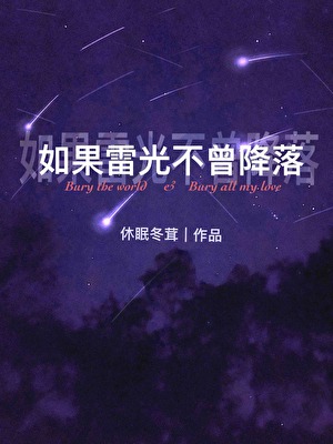 如果雷光不曾降落[无限]