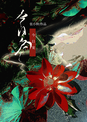 今日宠