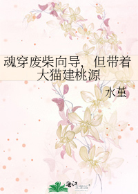 魂穿废柴向导，但带着大猫建桃源