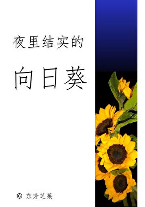夜里结实的向日葵