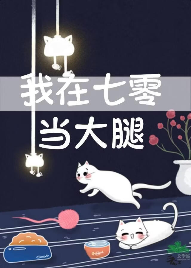 我在七零年代当大腿