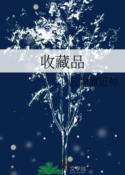 收藏品