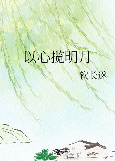 以心揽明月