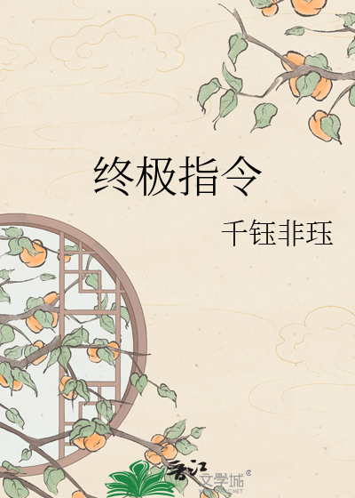 终极指令
