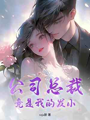 公司总裁竟是我的发小