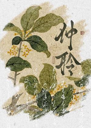 成为龙傲天的恶毒青梅