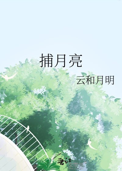 捕月亮