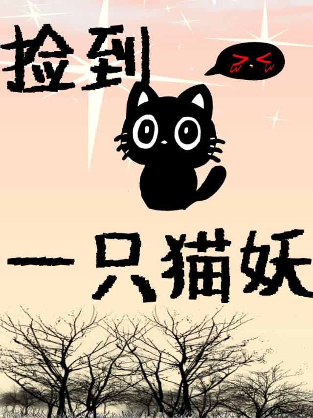 捡到一只猫妖后
