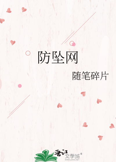 防坠网