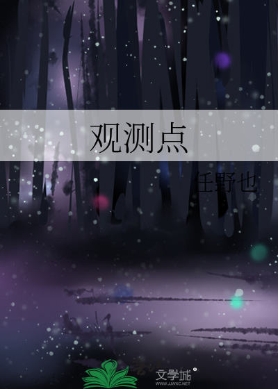 观测点