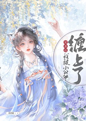 定亲后被小公爷缠上了（北宋）