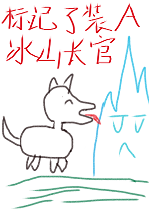 标记了装A冰山长官后