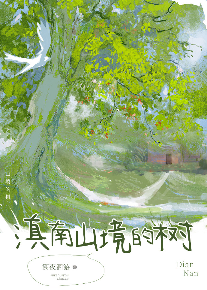 滇南山境的树