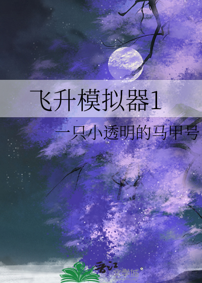 飞升模拟器1
