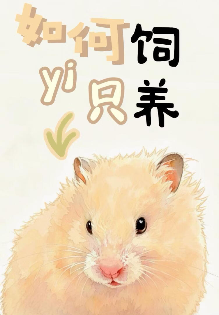 如何饲养一只米小仓