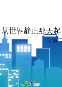 从世界静止那天起
