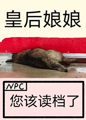 皇后娘娘，您该读档了