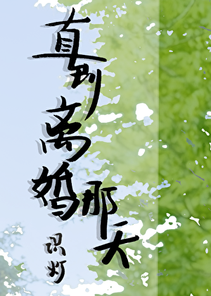直到离婚那天