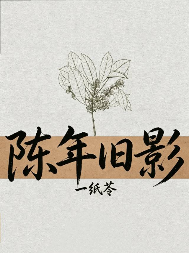 陈年旧影