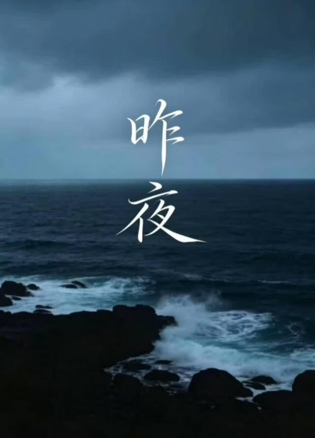 昨夜无眠[刑侦]