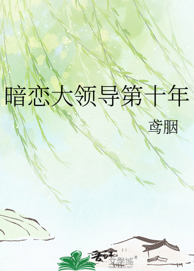暗恋大领导第十年