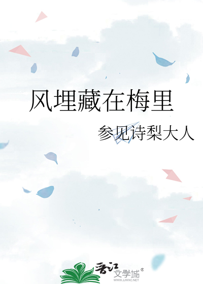 风埋藏在梅里
