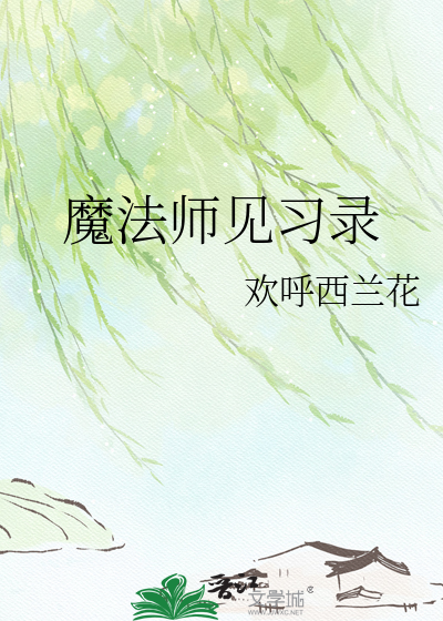 魔法师见习录