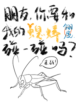 朋友，你要和我的蟋蟀碰一碰吗？